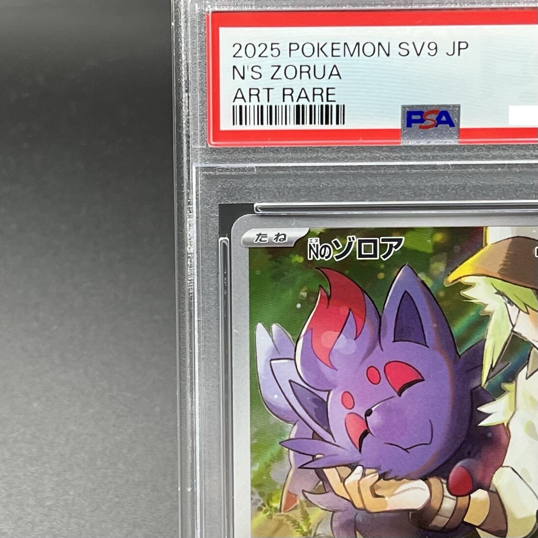 Nのゾロア AR PSA10 3連番 / N'S ZORUA ×3 PSA 10 N s Zorua AR 108/100 SV9 Battle Partners Pokemon Card