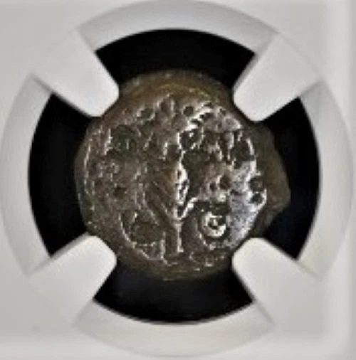 Ancient Coin - Valerius Gratus, Roman Prefect of Judaea, 15-26 CE (NGC Slab) - Image 3 of 4