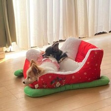 Christmas Cat Dog Bed Pet Sleigh Mat Non Slip Bottom Christmas Themed Cute Pet