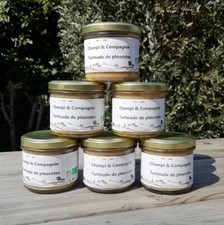 TARTINADE de CHAMPIGNONS PLEUROTES BIO 100g Tartinable Apéro Toasts Apéritif