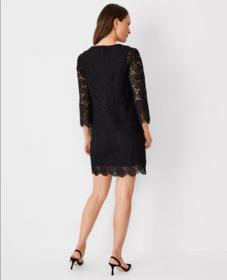 vineyard vines blue lace dress Marchesa Notte Midi Dress main image 0
