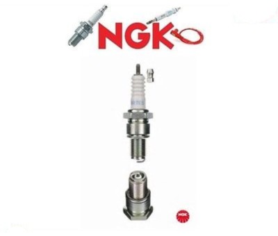 5122 Spark Plug (NGK NTK)