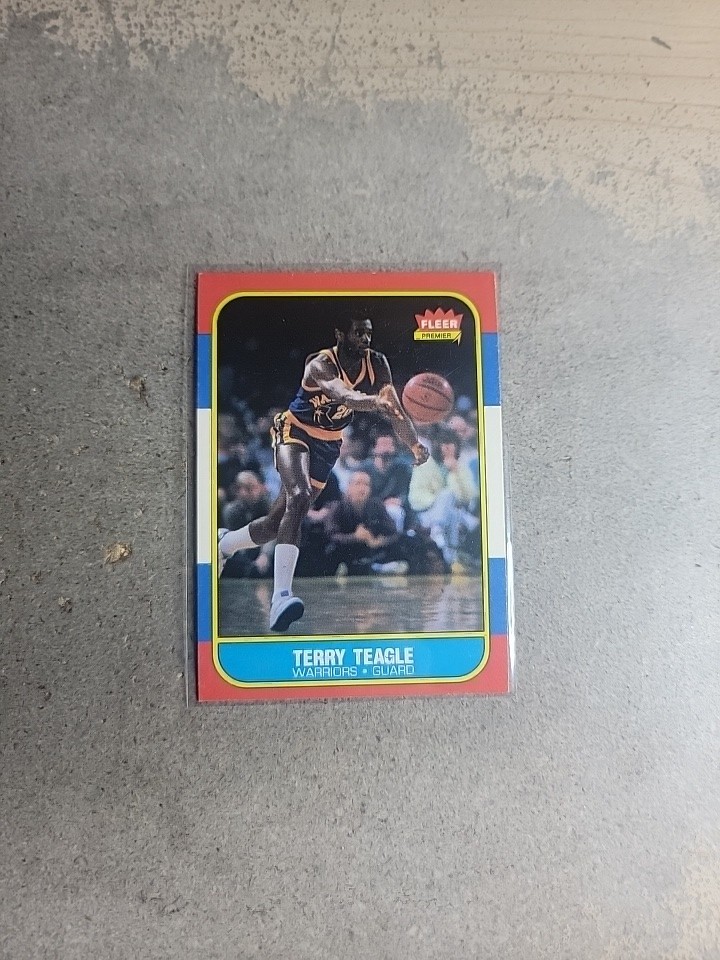 1986-87 Fleer #107 Terry Teagle