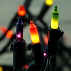 Mardi GRAS 33 Ft 100 Count Mini Set Halloween Lights Ornament Home Collection 