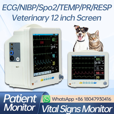 Multi-parameter 12-inch Patient Monitor ECG/NIBP/SPO2/TEMP/RESP VET Use