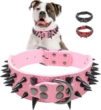Spiked Dog Collars for Medium Large Dogs, Sharp Spike Studded Dog Collar, M