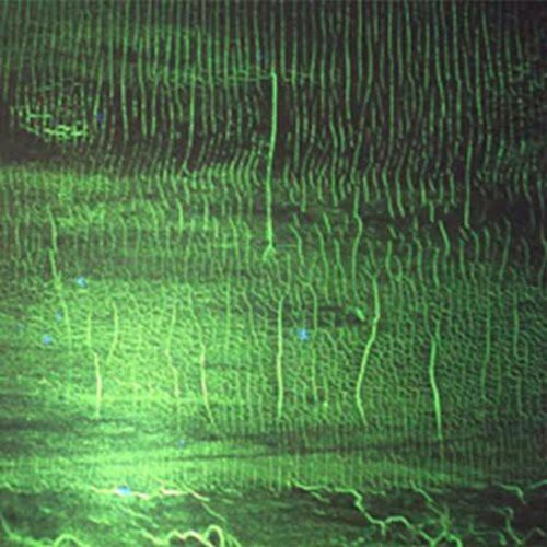 Донато Доззи - К [Новый диск]