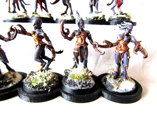 WARHAMMER AOS CHAOS SLAANESH ARMY - MANY UNITS TO CHOOSE FROM - Picture 101 of 159
