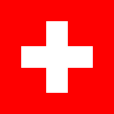 (NOT A PATCH) Switzerland Country Flag HTV Heat Transfer Vinyl Iron On 