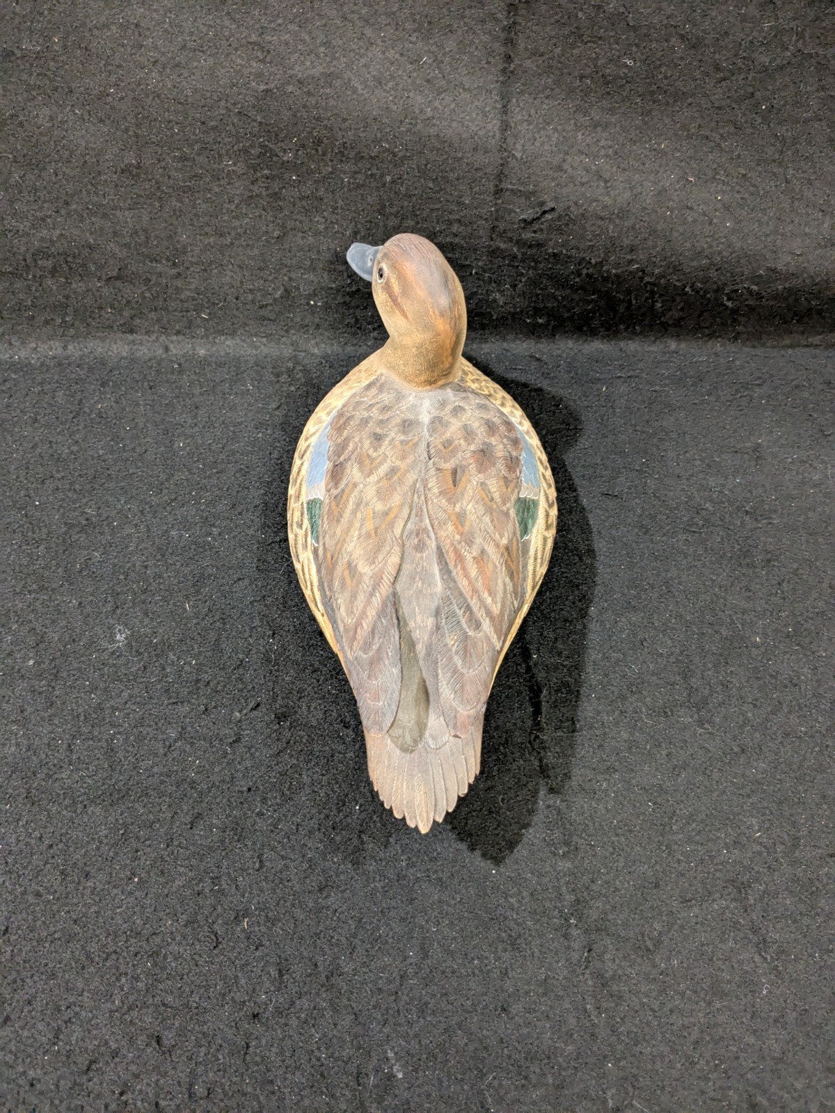 Picture 5 of 10