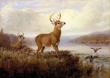 Oil painting Arthur-Fitzwilliam-Tait-Startled deer by river landscape & birds