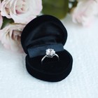 Beautiful Heart Shaped Earring Gift Box Storage Box Case (Black)