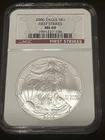 🔥2006 American Silver Eagle $1 First Strikes MS69🔥