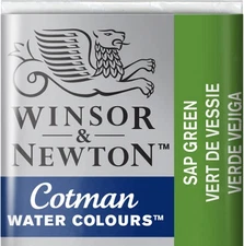 Elegant Semi-Gloss 10ml Cotman Watercolor Paint in Sap Green - Lightweight