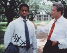 ADRIAN LESTER - Primary Colours GENUINE SIGNED AUTOGRAPH