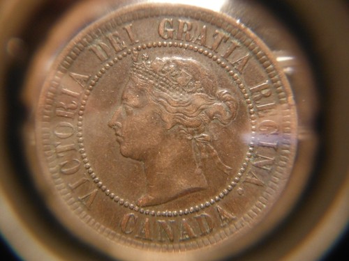 1886 Large One Cent - Obverse # 2 ***** VF - Picture 9 of 14