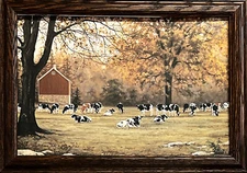 Bonnie Mohr Under the Oaks Cow Farm Art Print-Framed (Wood) 20.5 x 14.5