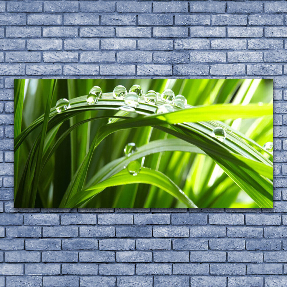 Tableau sous verre Nature 140x70 cm, grand format pour salon zen et contemporain