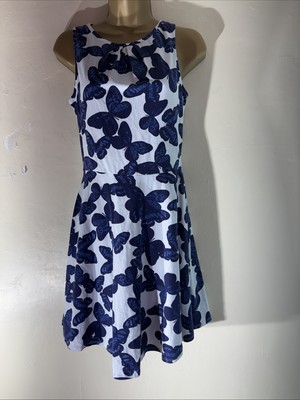 Womens Dorothy Perkins Uk 10 White Blue Butterfly Knee Length