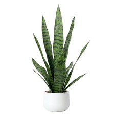 Artificial Snake Plant 22.5" Faux Agave Fake Sansevieria Artificial Potted Pl...