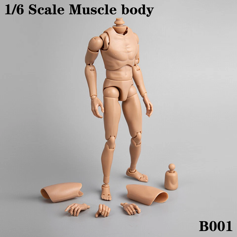 1/6 Dragon Male Body B001 Normal Shoulder Soldier Doll Fit 12" Action Figure Toy - Image 2 of 4