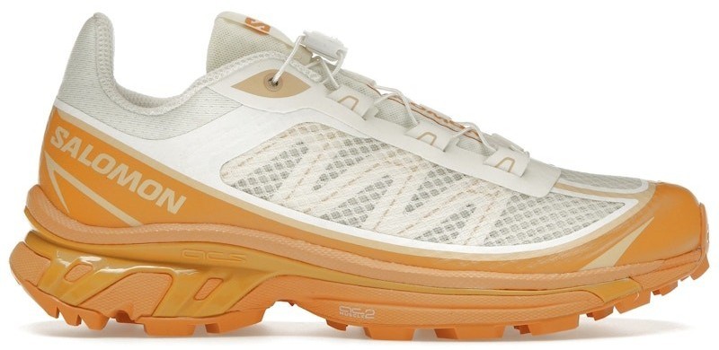 Salomon XT-6 FT Vanilla Ice Hazelnut for sale | eBay