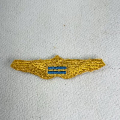 Vtg 1940 s BSA Air Explorer Crewman First Class Wing Patch