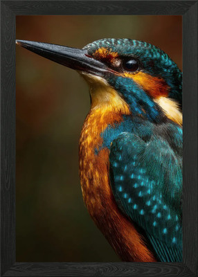 Lebendiger Eisvogel Portrait gerahmtes Wandbild Poster Leinwanddruck Bild