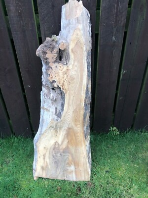  Wunderschön figürliche Ulmenmaserung - Holzbearbeitung - Holzschnitzerei - Tisch