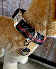 Elegant dog collar, collar for dog, luxury collar for dog with removable tag LRG