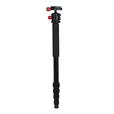 Kenro Karoo Einbeinstativ Kit mit Dual Action Kopf und Schnellwechselplatte - KENTR302