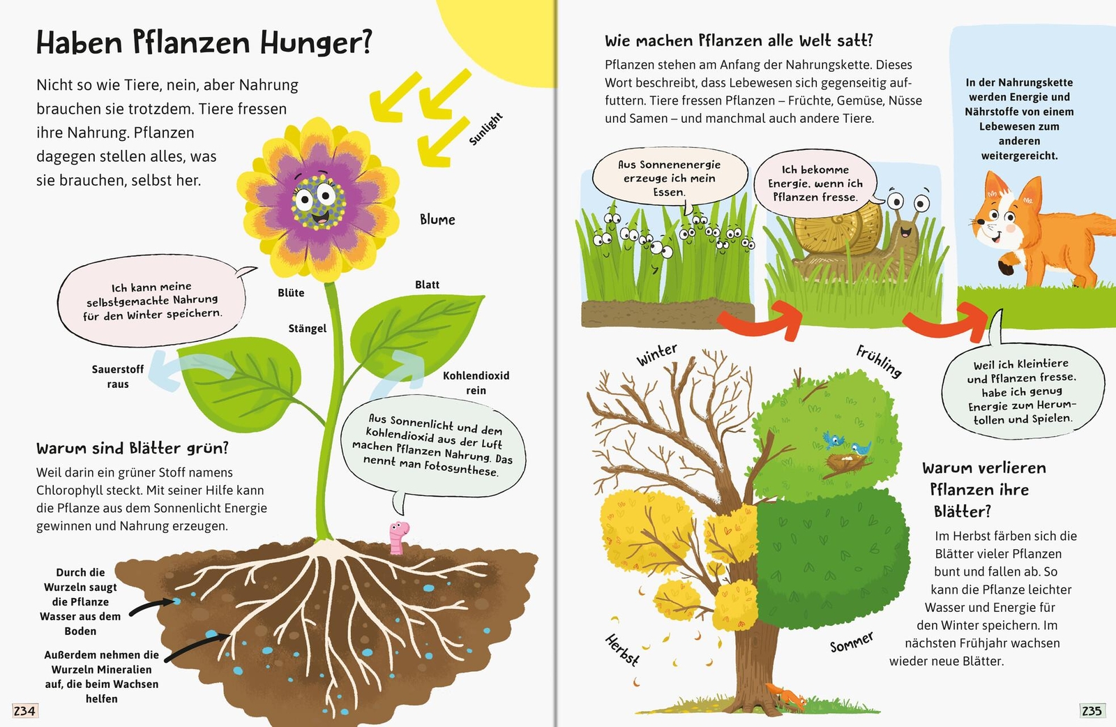 Thumbnail - Anne Scheller / Alles Was Ich Wissen Will - Ein Lexikon Für Kinder Ab