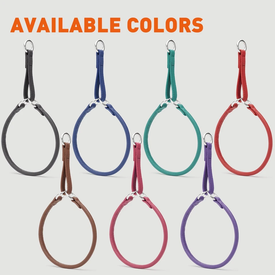 Collar Martingala Cuero Enrollado - Collar Gargantilla Suave para Perros Pequeños, Medianos a... Foto 3 de 4