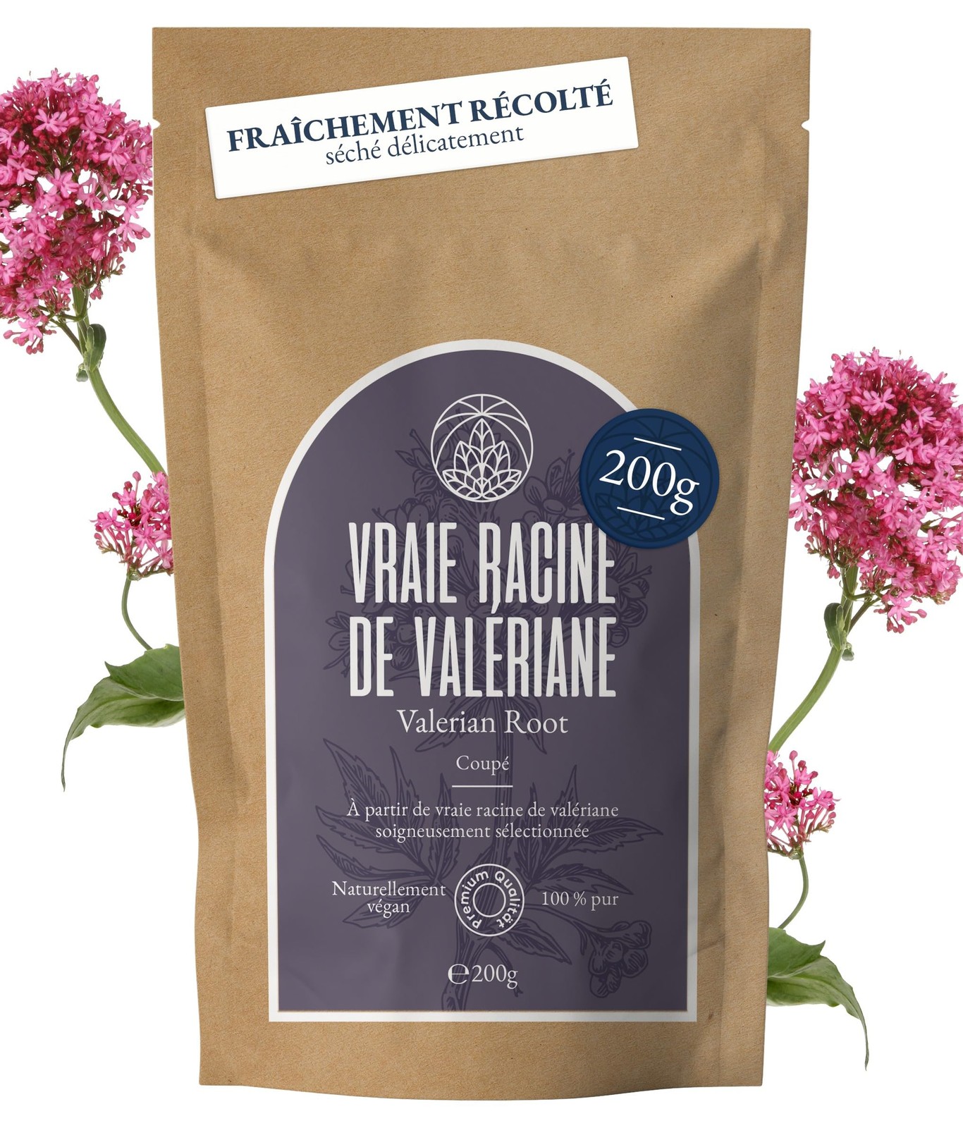 Tisane de racine de valériane de 200 g pour votre rituel détente cocooning