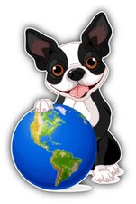 Earth Day Funny Dog Car Bumper Sticker Decal