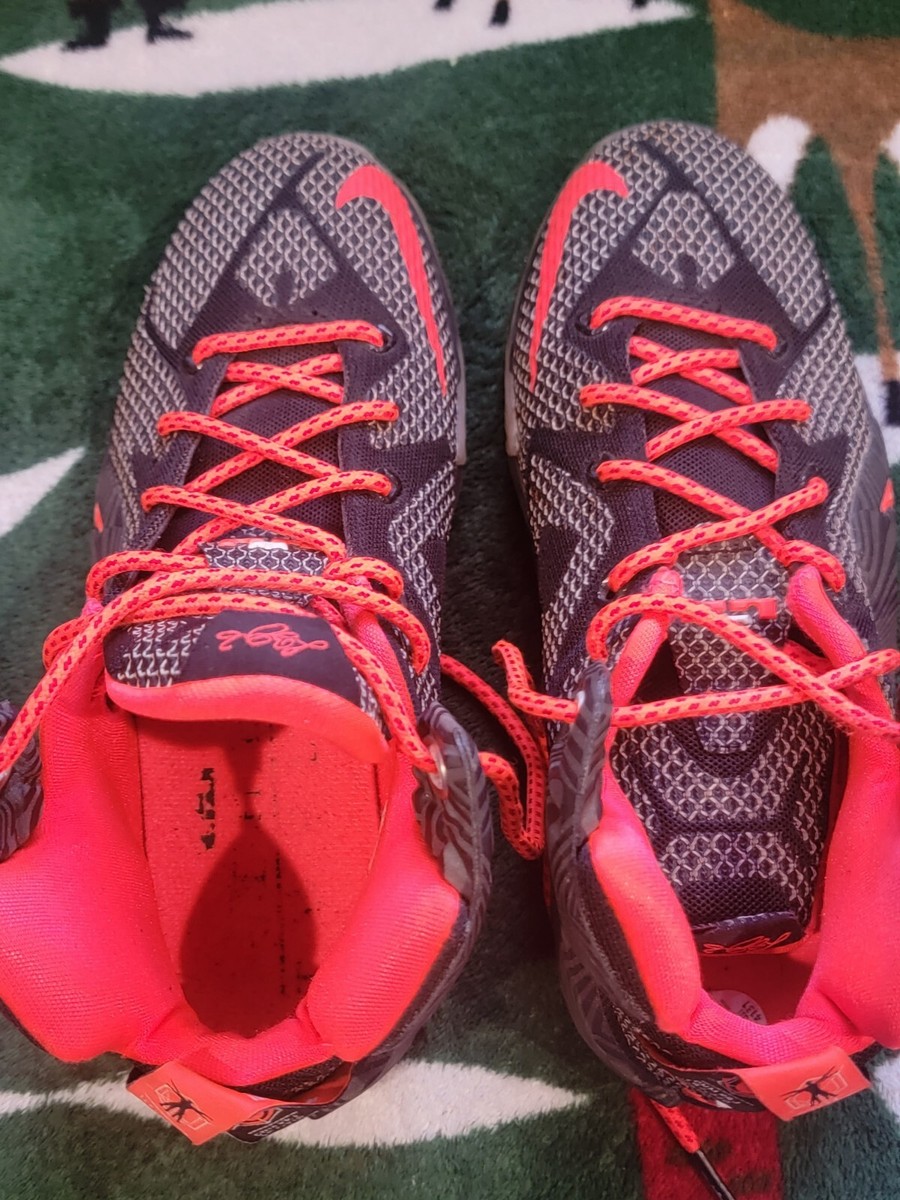 nike lebron all courts 4p