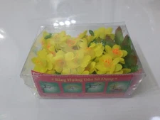 box of yellow apricot blossoms flower (hoa mai chùm) for (Tết) decoration