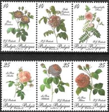 Timbres Flore Roses Belgique 2370/2375 ** - 80488FQ - cote : 36 €