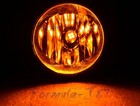 Bild 8 von 13