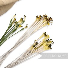 Vintage 1960/70s Long Stemmed Fine Flower Stamens - 12 Stems