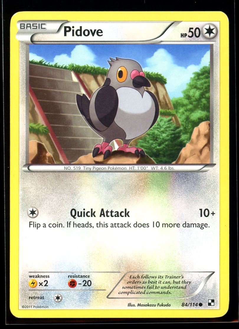 2011 Black & White Pidove #84 Non Holo Pokemon Card
