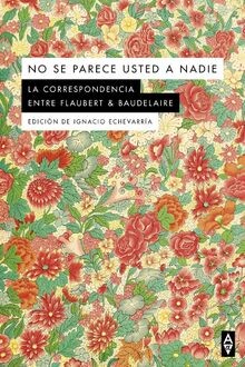 No se parece usted a nadie: Correspondencia 1857-186... | Buch | Zustand wie neu