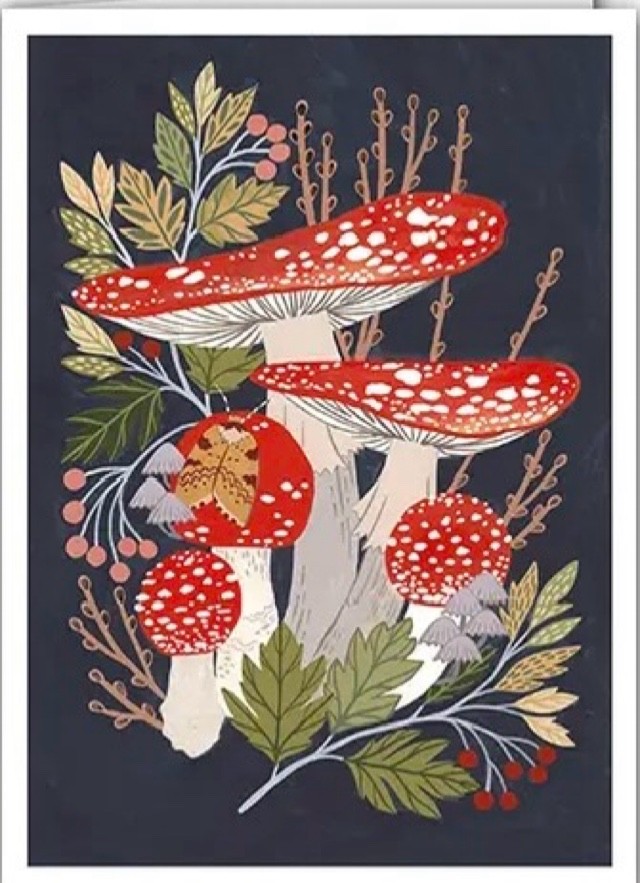 Fly Agaric  Mushrooms Fungi - Fine Art Blank Greeting / Birthday Card Botanical