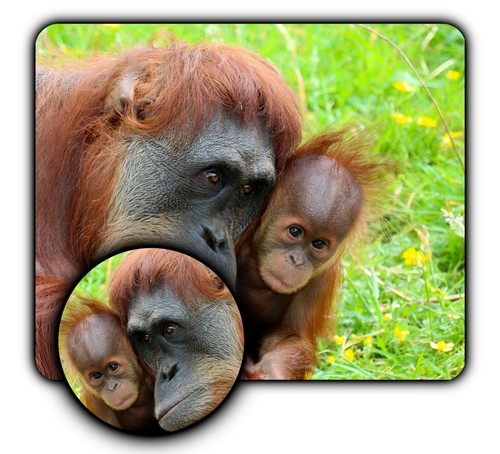 Ape Orangutan Mom Baby Mouse Pad + Coaster - 1/4" Rubber Mat - Great Gift Idea - 第 1/3 張圖片