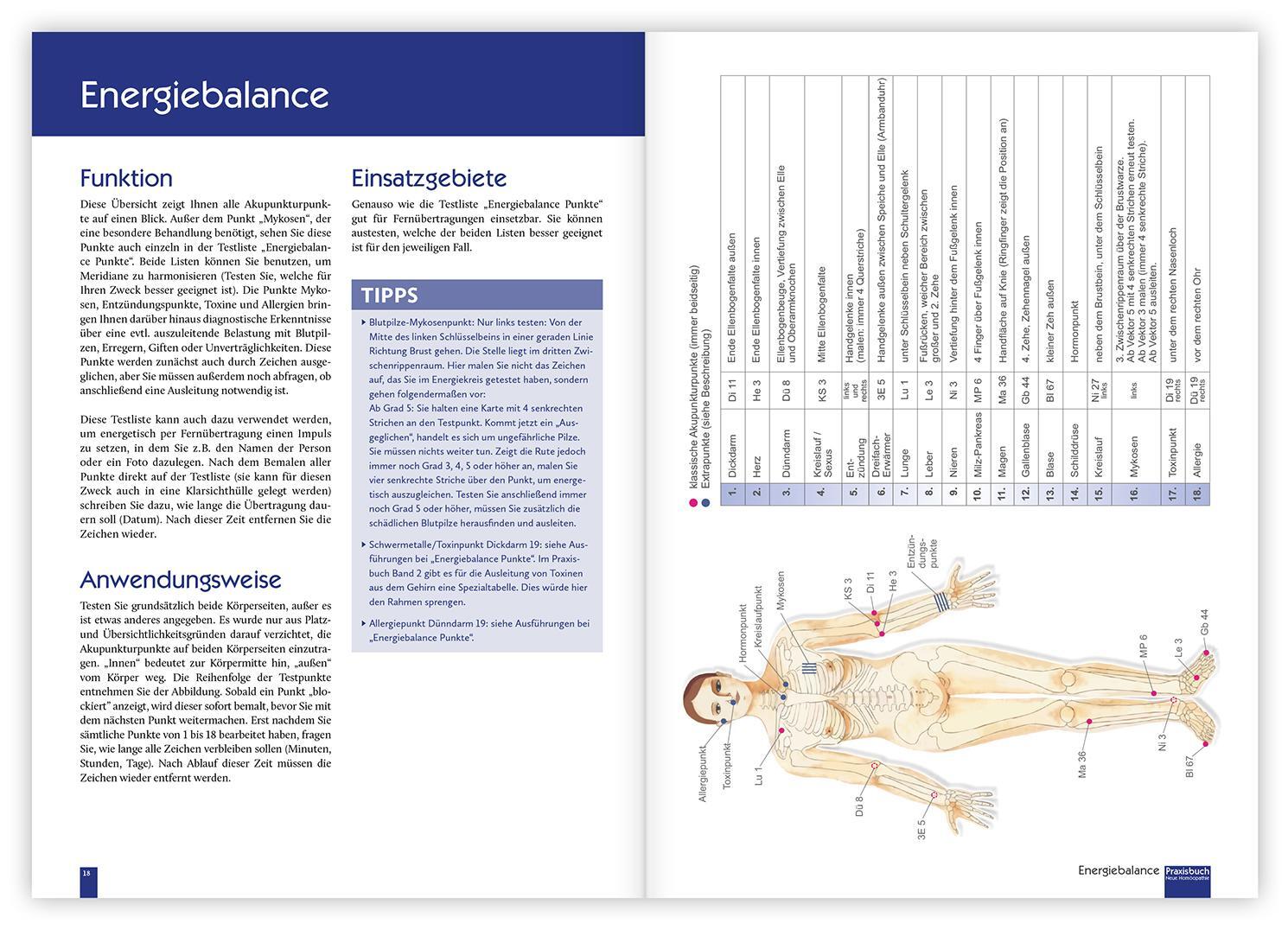 Thumbnail - Christina Baumann Praxisbuch Neue Homöopathie