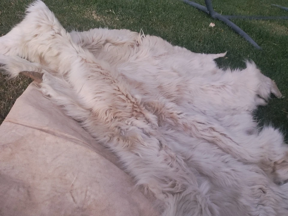 Alfombra Anmial 60 X 60 Foto 2 de 4