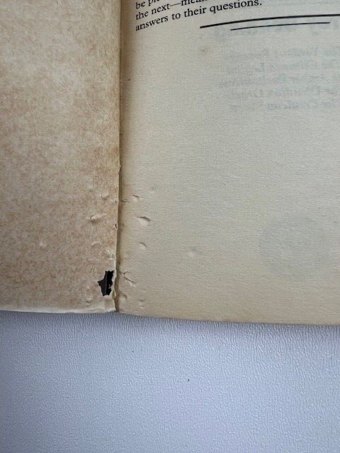 Foto 6 di 24