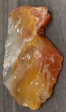 Agtized Petrified Wood Polished LimbCast Translucent Vivid Color Mineralization 