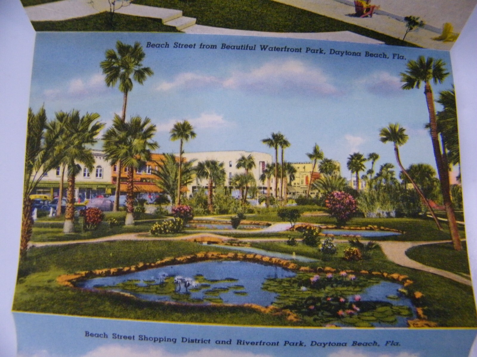 Picture 3 of 6