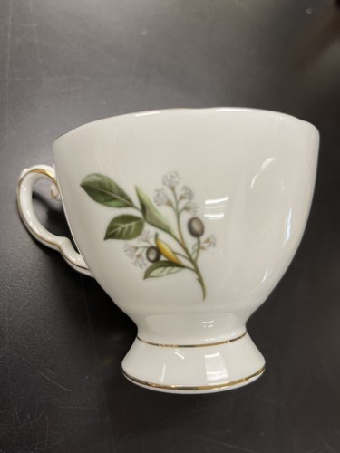 Vintage Royal Chelsea Audubon Birds Cardinal Tea Cup And Saucer Set | eBay